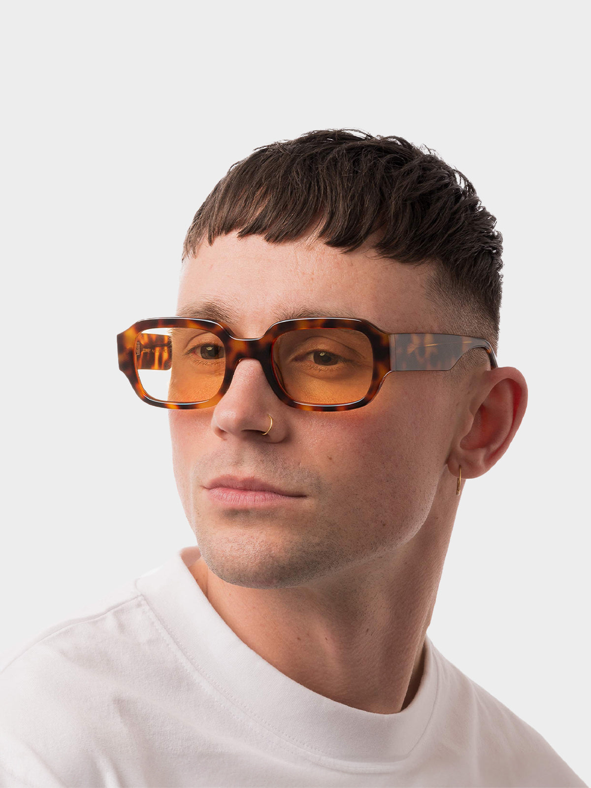 DOWNEY - Tortoise