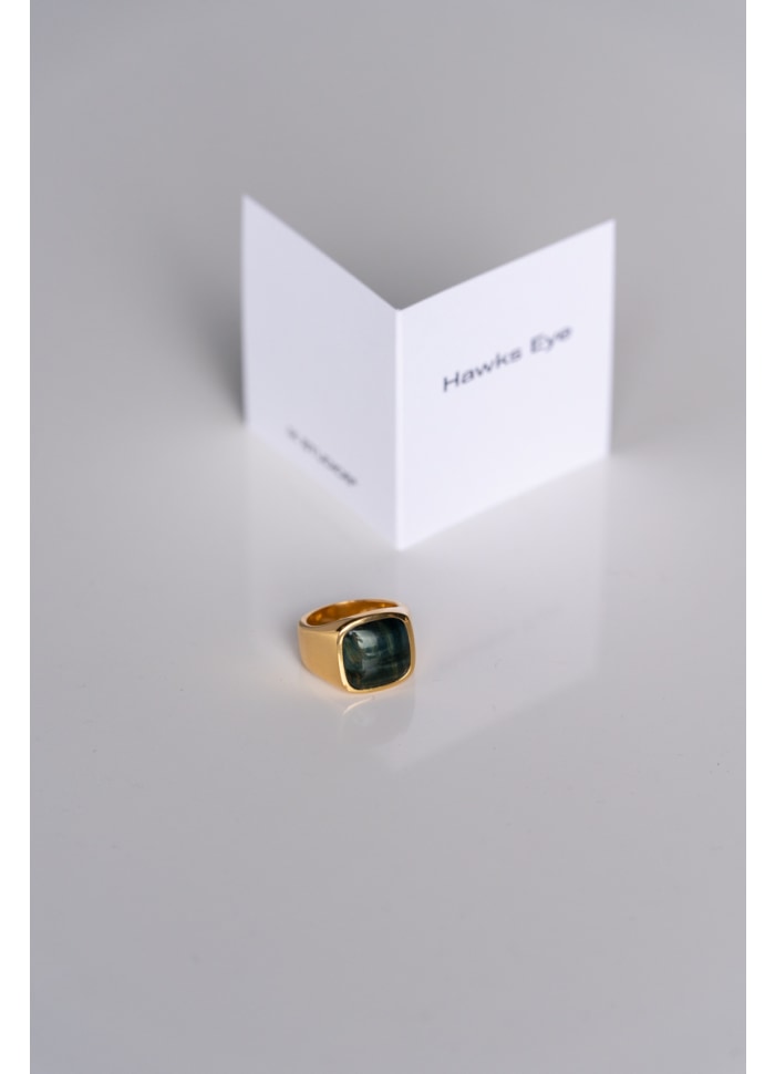 IX STUDIOS - CUSHION SIGNET RING - HAWKS EYE