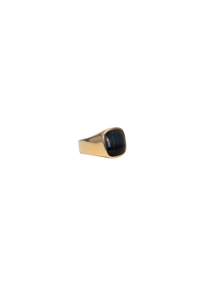 IX STUDIOS - CUSHION SIGNET RING - HAWKS EYE