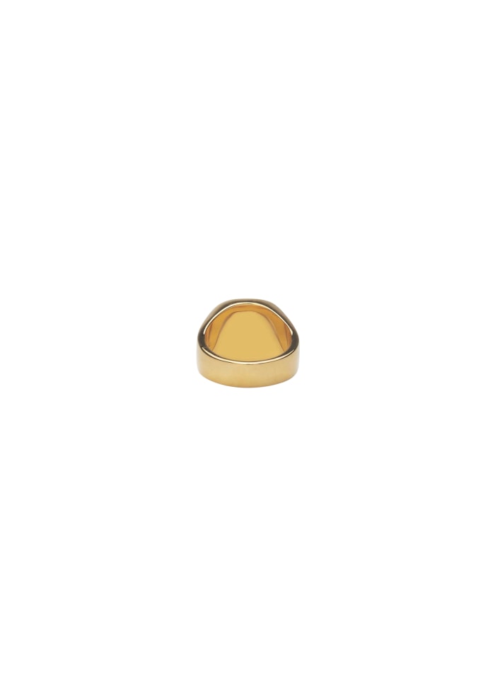 IX STUDIOS - CUSHION SIGNET RING - HAWKS EYE